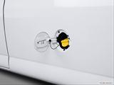  Gas cap open photo